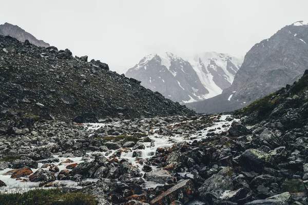 Yağmurlu havalarda morinaların arasında dağ deresi olan atmosferik bir manzara. Karlı dağlardan gelen sütlü nehrin kasvetli manzarası. Su akıntısında yosun ve liken taşları. Dağ nehri kayaların arasında.