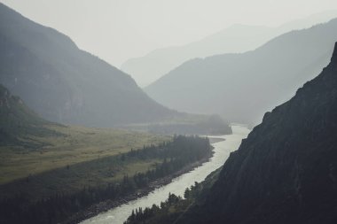 Geniş dağ nehri olan puslu dağ manzarası. Sis içindeki iki dağ nehrinin birleştiği koyu yeşil kasvetli manzara. Büyük nehirlerin yağmurlu havada birleşmesine karanlık atmosfer manzarası.