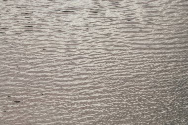Gölün altın sakin suyunun tek renkli dokusu. Güneşli su yüzeyinde meditasyon dalgaları. Altın gölün arka planı güneş ışığında minimumda. Temiz suyun doğal arkaplanı. Güneş ışığı gölü parçası.