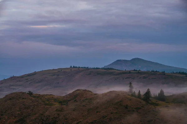 风景秀丽的黎明山水 山上有雾 树上有树 山顶上有蓝色落日或日出云天 日落时分 绿树成荫 山巅低云的大气景观 — 图库照片