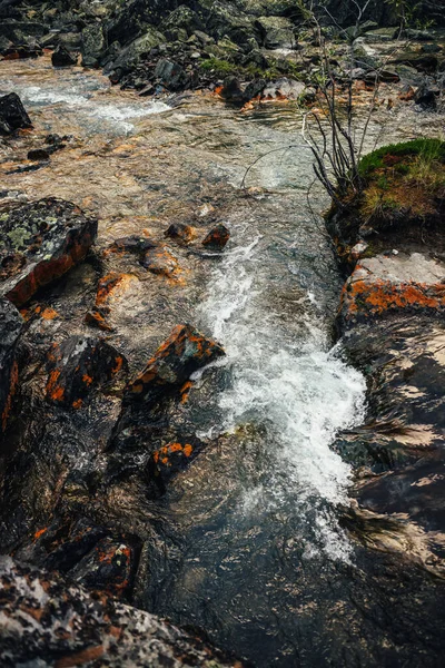 Paisaje Naturaleza Escénica Con Brillo Dorado Soleado Arroyo Agua Clara — Foto de Stock