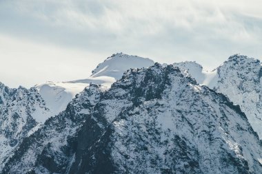 Gökyüzündeki sirrus bulutlarının altında zirveye ulaşmış yüksek karlı dağ duvarına harika bir manzara. Alp manzarası, büyük karla kaplı dağlarla güneş altında keskin bir tepe noktası. Beyaz karlı, sivri uçlu güneş ışığı.