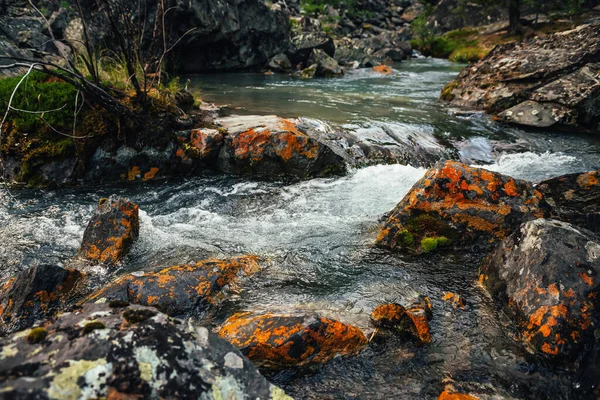 Живописный Природный Фон Бирюзового Прозрачного Ручья Воды Среди Скал Мхом — стоковое фото