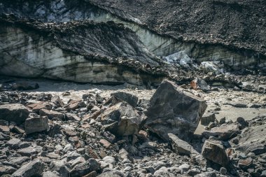 Dağ nehrinin manzarası buzuldan başlıyor. Büyük moranlar ve buz parçalarıyla. Buzul nehrinin kaynağında buzullu güzel bir manzara. Dağ nehri büyük kayalar ve buz blokları arasında.