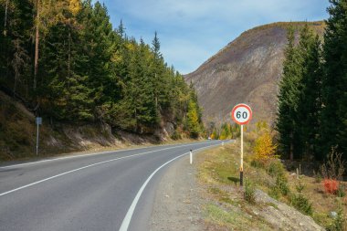 Dağ yolu boyunca sarı dalları olan renkli sonbahar manzarası. Sonbahar renklerinde, dağ yolu boyunca sarı karaçam ağaçları olan kozalaklı orman. Sonbahar zamanında dağlarda otoyol.