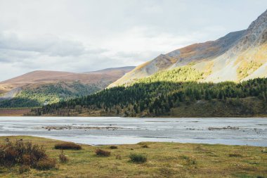 Dağ gölündeki su akıntıları ve sonbahar renklerinde güneşli karışık dağlarla manzara. Sonbahar çiçekleriyle güzel manzara sığ göl manzarası ve güneşli ormanlı yamaçlar..