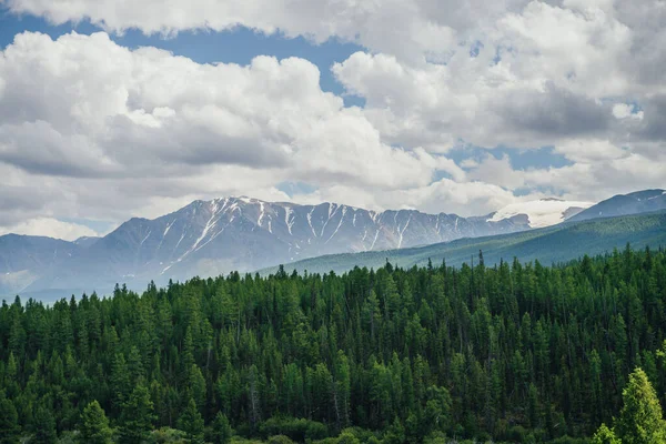 Soligt Bergslandskap Med Levande Grön Skog Kullen Och Snöiga Berg — Stockfoto