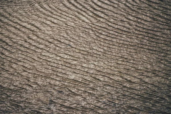 Monochrome Textur Des Goldenen Ruhigen Sees Meditative Wellen Auf Sonniger — Stockfoto