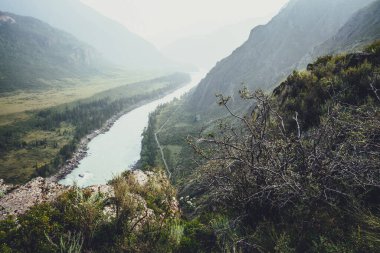 Dağ nehrinin arka planında kayalar ve bulanık dağ siluetleriyle güzel çalılıklar ve yabani bitkilerle manzaralı bir dağ manzarası. Atmosferik dağ manzarası Uçurumdaki vahşi bitki örtüsüyle.
