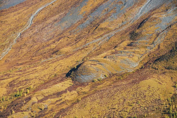 美丽的最小的高山景观与橙色秋天的山脚与针叶树在阳光下 莫特利简约的风景与金黄色秋天的山头 山中的秋天简约主义 — 图库照片