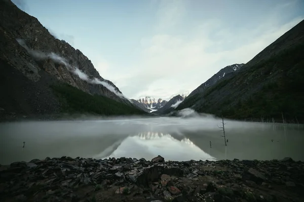 Paisaje Atmosférico Con Árbol Seco Agua Verde Del Lago Montaña —  Fotos de Stock