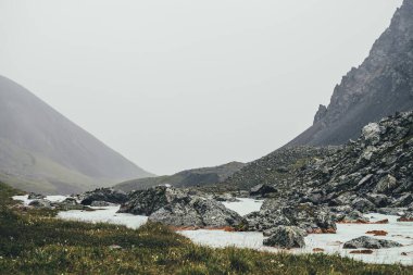 Yağmurlu havalarda morinaların arasında dağ deresi olan atmosferik bir manzara. Kayaların arasında sütlü nehrin olduğu kasvetli bir manzara. Dağ nehrinin kasvetli manzarası. Süt suyunda yosun ve liken içeren taşlar.