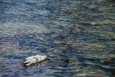 Dağ gölünün mavi berrak suyunda taşla çevrili güzel bir arka plan. Buzul gölünün mavi su yüzeyindeki dalgaların sahne doğası. Buzul gölünün taşlı en küçük parçası..