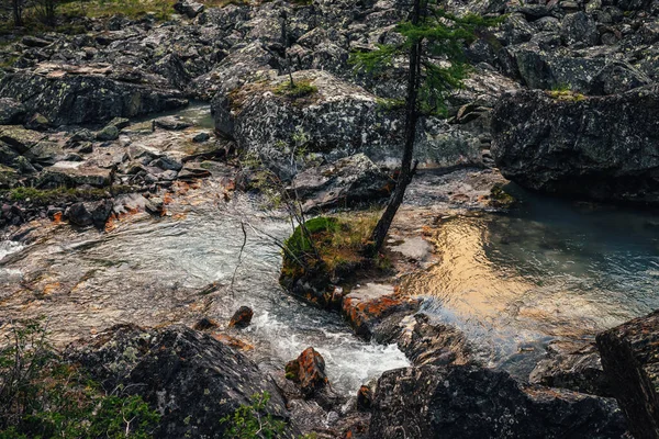 Paisaje Naturaleza Escénica Con Brillo Dorado Soleado Arroyo Agua Clara —  Fotos de Stock