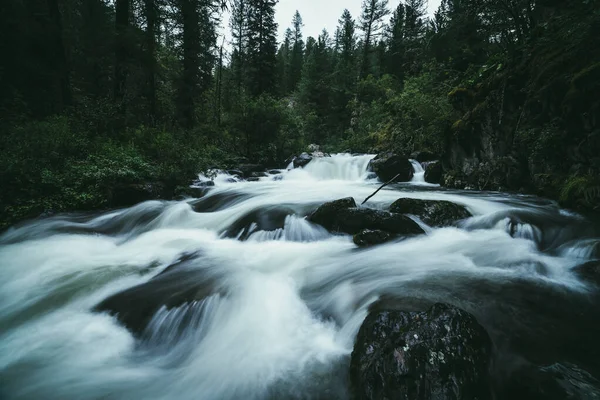 Atmosphärische Waldlandschaft Mit Stromschnellen Mächtigen Gebirgsfluss Zwischen Felsen Mit Moosen — Stockfoto