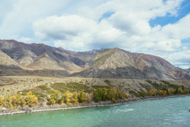 Renkli sonbahar manzarası, ağaçlarda altın yapraklar geniş turkuaz dağ nehri boyunca gün ışığında. Büyük dağ nehri ve sonbaharda altın rengi sarı ağaçlarla dolu parlak dağlık bir manzara.