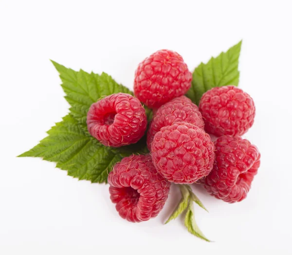 Fresh raspberry — Stock Photo, Image