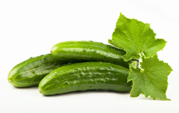 Fresh cucumbers — Stock Photo, Image