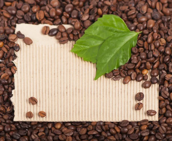 Kávé és levelek — Stock Fotó