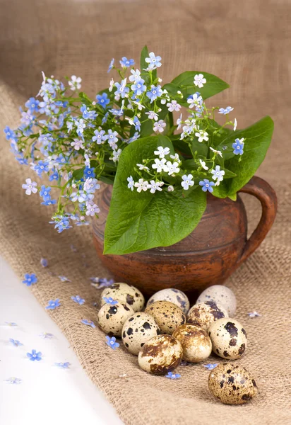 Quail eggs and flowers — Stock Photo, Image