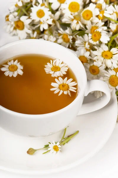 Té de manzanilla — Foto de Stock