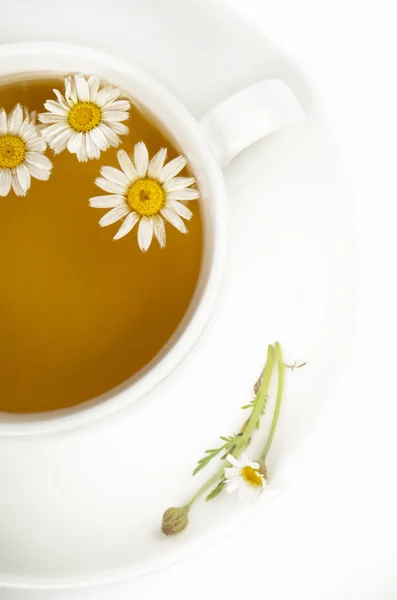 Té de manzanilla — Foto de Stock