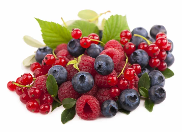 Handful of berries — Stock Photo, Image