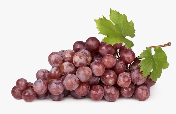 Uvas rojas sobre fondo blanco —  Fotos de Stock