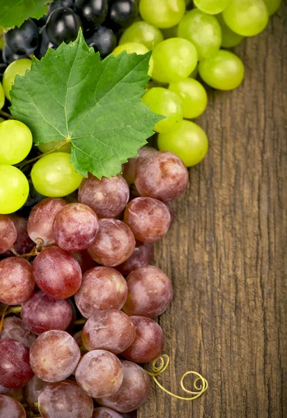 Fresh grapes — Stock Photo, Image