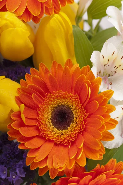 Schöner Strauß bunter Frühlingsblumen. Tulpe, Hahnenfuß, — Stockfoto