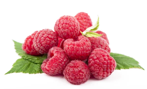 Ripe raspberry with green leaf — Stock Photo, Image