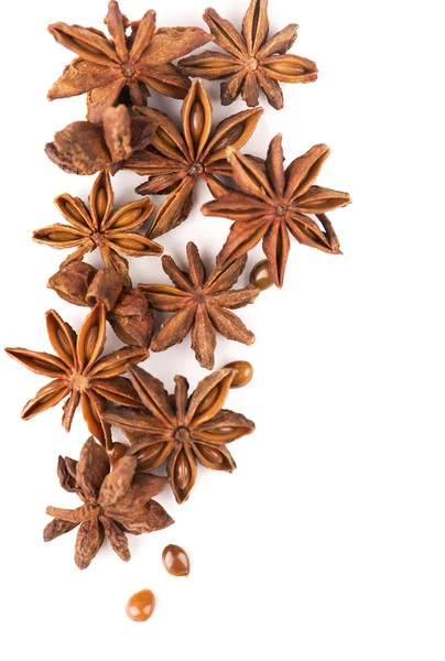 Anisetree anise — Stock Photo, Image