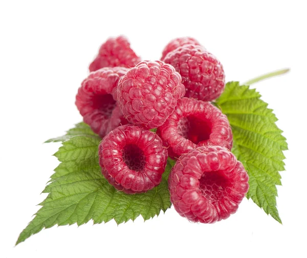 Ripe raspberry with green leaf — Stock Photo, Image