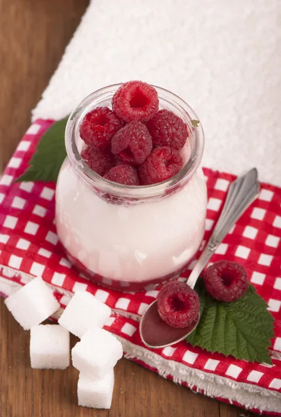 Yogurt sundae with raspberries — Stock Photo, Image