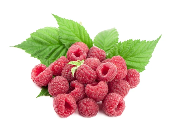 Ripe raspberry with green leaf — Stock Photo, Image