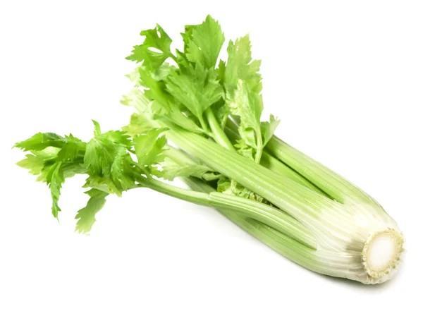 Fresh celery — Stock Photo, Image