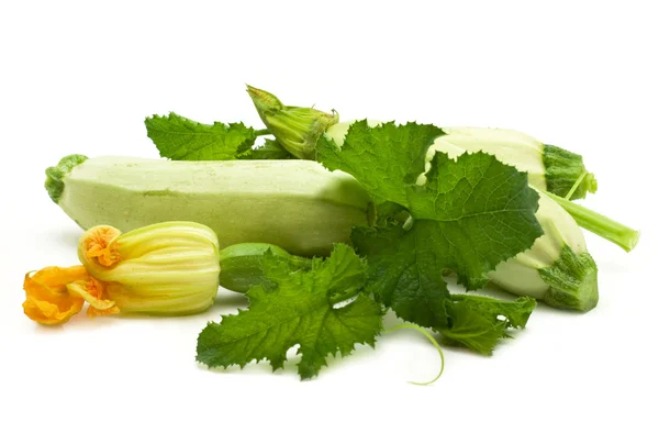 Vegetable marrow with flowers — Stock Photo, Image