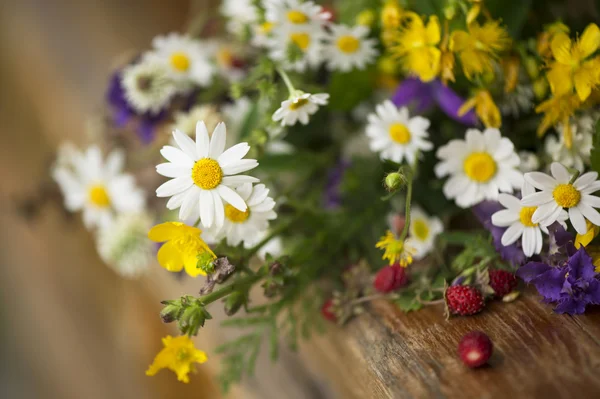 Vacker bukett av ljusa blommor — Stockfoto