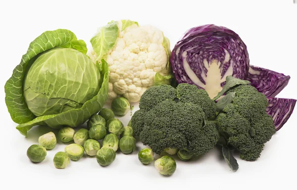 Various types of cabbage — Stock Photo, Image