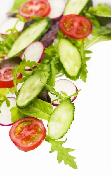 Cut cucumbers, garden radish, tomatoes and lettuce leaves — Stock Photo, Image