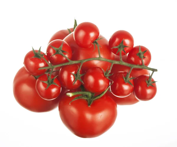 Frische rote Tomaten — Stockfoto