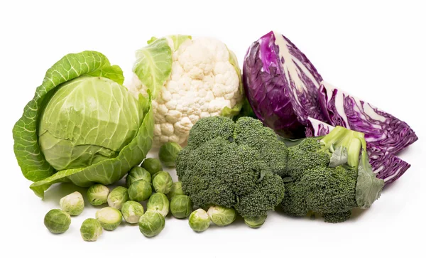 Various types of cabbage — Stock Photo, Image