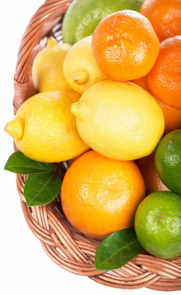 Fresh citrus fruit with leaves in a wicker basket — Stock Photo, Image