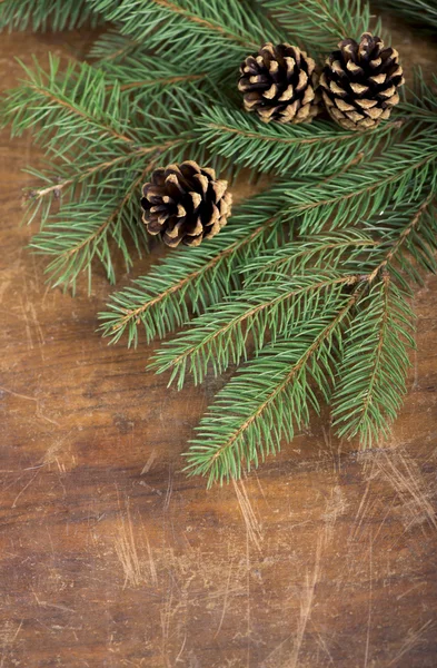 Eski ahşap üzerinde Noel ağacının dalını çerçevesinden — Stok fotoğraf