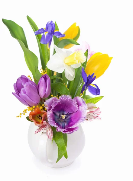 Flowers spring — Stock Photo, Image
