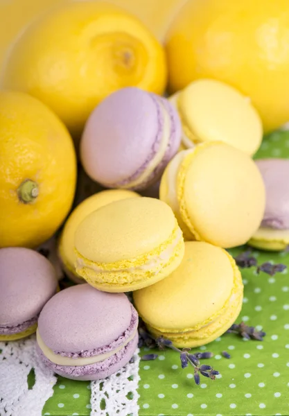 Pastel renk macaroons — Stok fotoğraf