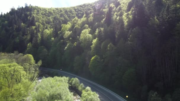 Letecký pohled na silnici v krásném zeleném lese při západu slunce v létě. Barevná krajina se silnicí, borovicemi, rozmazanými auty a řekou v Karpatských horách. Pohled shora na dálnici. Cestování na Ukrajině — Stock video