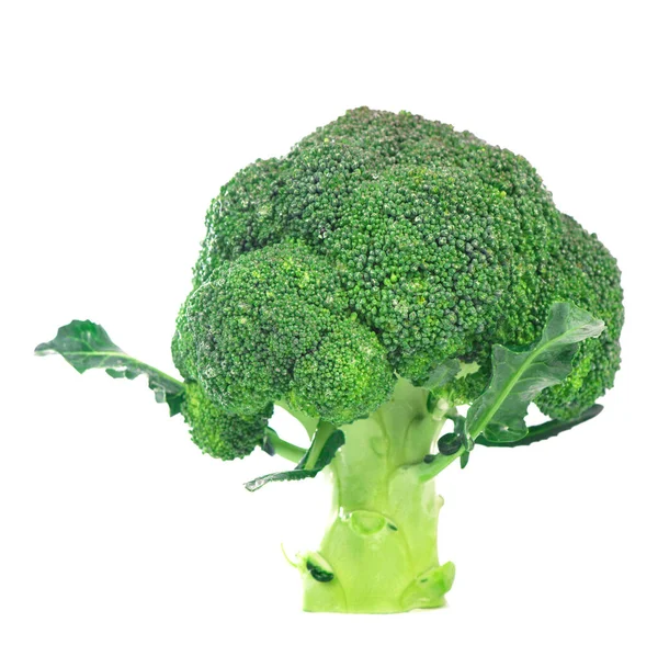 Verse Groene Broccoli Geïsoleerd Witte Achtergrond — Stockfoto