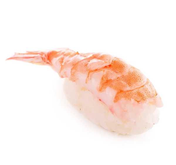 Shrimp Sushi Closeup Isolated White Background — Stock Photo, Image