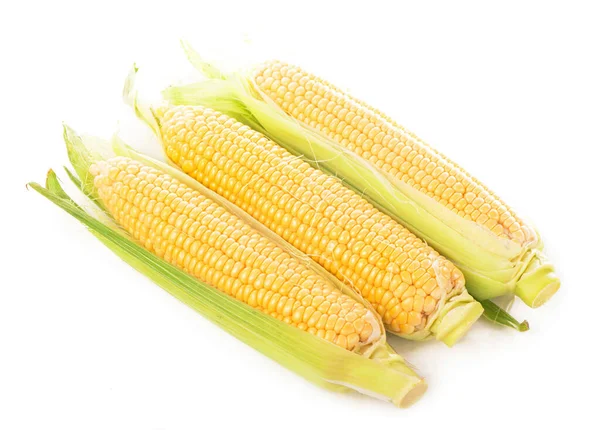 Raw Corn Green Leaves White Background — Stock Photo, Image